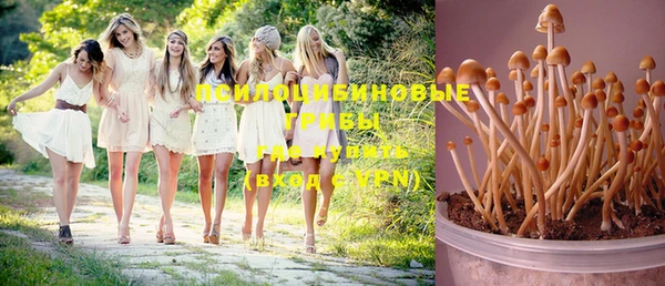 дживик Алексеевка