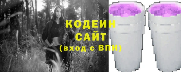 молекула духа Алзамай
